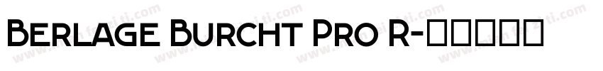Berlage Burcht Pro R字体转换